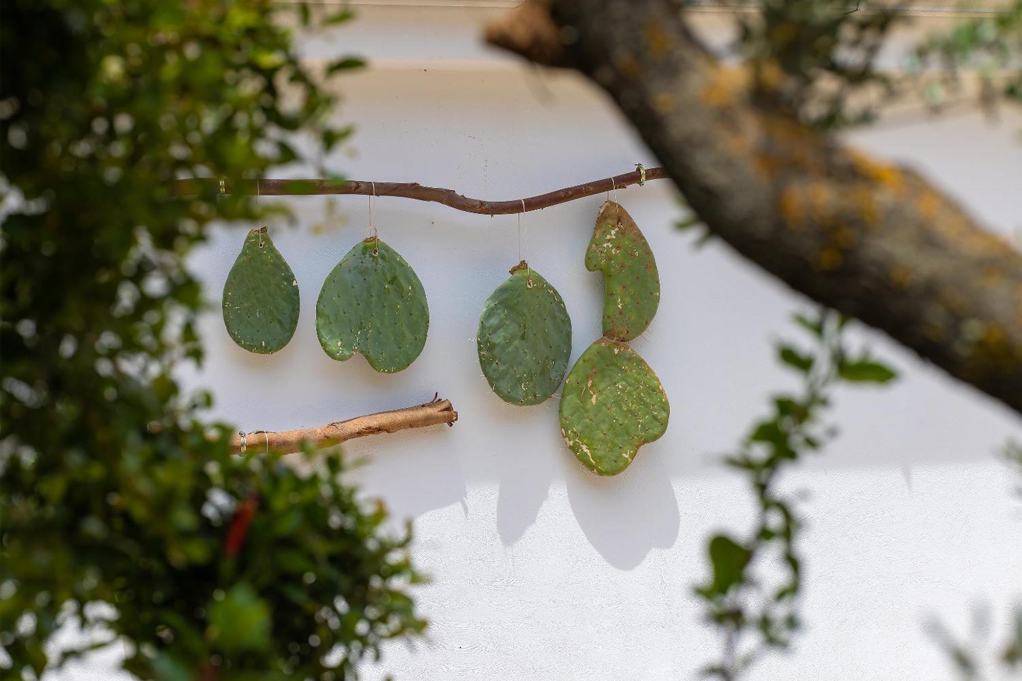 Hotel Masseria Fontanelle 乌真托 外观 照片